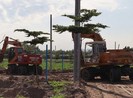 Phó thủ tướng chỉ đạo Bộ Công an làm rõ sai phạm của Alibaba