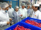 Truy xuất nguồn gốc chặt chẽ để chặn thịt có kháng sinh