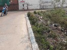 Tổ xung kích lập 'chốt' xóa điểm tập kết rác tự phát ở Hóc Môn