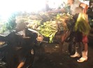 Chợ đầu mối Hóc Môn phải tháo dỡ 8 kiốt trong khuôn viên chợ
