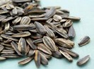 Gắp hạt hướng dương trong khí quản bé 13 tháng tuổi