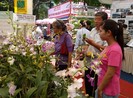 30 tỉnh thành tham dự hội chợ nông nghiệp, thực phẩm