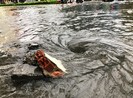 Đà Nẵng: Hàng loạt tuyến đường bị ngập chìm vì ảnh hưởng bão