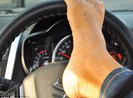 Mất hai tay vẫn được cấp bằng lái ô tô