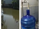 Thu hồi nước đóng bình Vimass làm từ nguồn nước mương