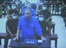 Đấu giá viên đảo ngược kết quả đấu giá bị 24 tháng tù