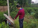 Đã có kết quả mẫu đất nhà 3 anh em tử vong nghi do Whitmore