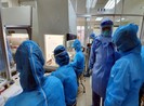 Kết quả giải mã gene COVID-19 tại Hải Dương
