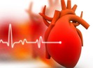Gần 2 triệu người Việt Nam đang mắc bệnh suy tim