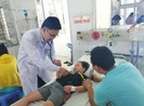 TP.HCM: Sốt xuất huyết tăng mạnh, 2 tuần có gần 500 người mắc