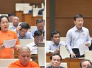 Chính quyền đô thị TP.HCM: Phù hợp với thực tiễn