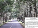 Biến đất nông trường thành của riêng