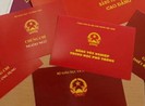 Cách chức nữ chủ tịch xã xài bằng giả