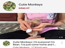 Đăng clip nhốt khỉ câu view, người phụ nữ bị đề nghị xử lý