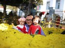 Mê mẩn với chợ hoa Ban Mê chiều cuối năm