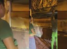 Tài xế không bằng lái chở gỗ ‘lậu’ vào TP.HCM