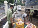 CSGT chặn xe tải chở thịt thối từ Quảng Nam lên Đắk Lắk