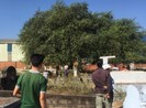 Bình Dương: 1 người chết trong tư thế treo cổ ở nghĩa trang