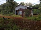 Bình Phước: Một người bị giết trong vườn điều