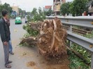 Vụ tàu SE2 dừng khẩn cấp, phạt tài xế xe cẩu 4 triệu