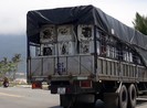 Đà Nẵng: Bắt cán bộ Hải quan buôn lậu