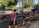 Công an truy đuổi thuyền chở gỗ trên sông Thu Bồn