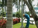 Cần Thơ sắp đón đợt triều cường rất cao