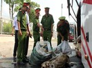 200kg thịt dê không có kiểm dịch trên xe khách
