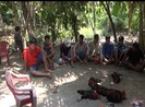 Vĩnh Long: Phá tụ điểm đá gà ở vườn măng cụt