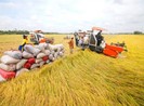 Vĩnh Long: Chi 400 tỉ đồng xây Bảo tàng nông nghiệp