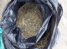 1 phụ nữ mua 4 kg cần sa từ Campuchia về Việt Nam bán