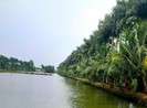 Đồng Tháp: Một chủ tịch xã bị điện giật tử vong