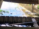 Trà Vinh: Thi thể 2 học sinh lớp 2 đuối nước thương tâm
