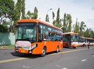Cần Thơ: Khai trương 5 tuyến xe buýt chất lượng cao
