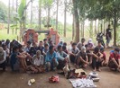 An Giang: Thấy công an, hàng chục người đá gà bỏ chạy