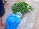 Quận Bình Tân: Bé trai sơ sinh 3 ký bị bỏ rơi trong thùng rác