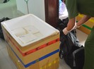 Khởi tố vụ án vận chuyển 119 kg cocaine