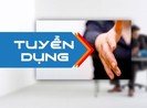 Phạt 1 Công ty dịch vụ việc làm không có giấy phép