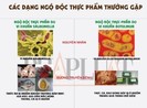 Infographic: Các dạng ngộ độc thực phẩm do vi khuẩn