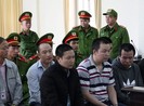 Rừng thông bị phá, 7 người nhận hơn 32 năm tù
