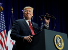 Thương chiến Mỹ-Trung: 600 công ty gửi kiến nghị tới ông Trump