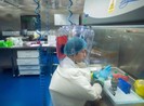 Trung Quốc tiết lộ hình ảnh bên trong phòng thí nghiệm Vũ Hán