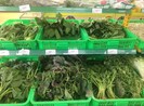 Chế độ giảm cân ngay còn trẻ giúp kéo dài tuổi thọ