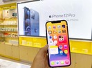 iPhone 12 series giá chỉ từ 13,5 triệu đồng