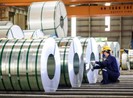 Doanh nghiệp Việt ít kinh nghiệm phòng vệ thương mại