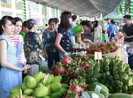 Hãy đến với 'Ngày hội Xanh Phú Mỹ Hưng lần 4-2019'