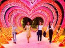 Du xuân mãn nhãn với 1.000 gốc mai giữa lòng Sài Gòn