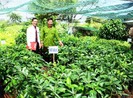 Agribank nỗ lực hành động vì chất lượng cuộc sống cộng đồng