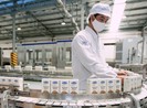 Vinamilk xuất khẩu sữa hạt cao cấp sang thị trường Hàn Quốc