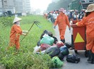 TP.HCM: Nhiều mô hình bảo vệ môi trường phát huy hiệu quả